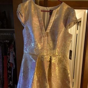 Gorgeous, never worn shiny cocktail dress